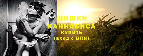 стафф Гусь-Хрустальный