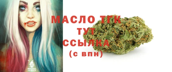 стафф Гусь-Хрустальный