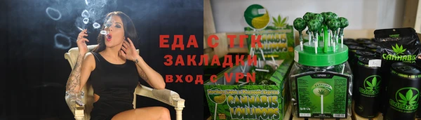 гидра Гусев