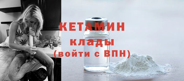 гидра Гусев