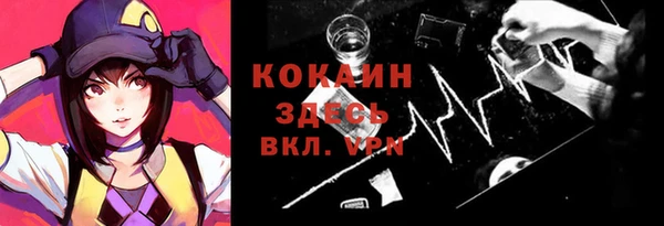 гидра Гусев