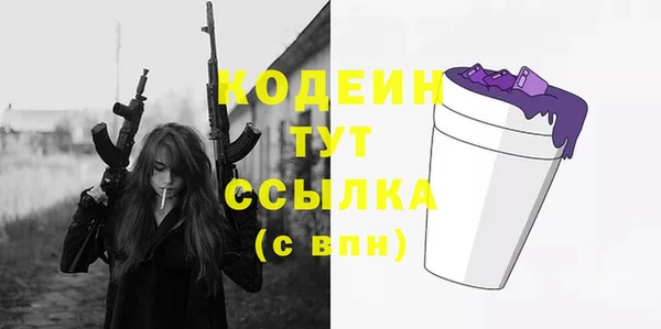 гидра Гусев