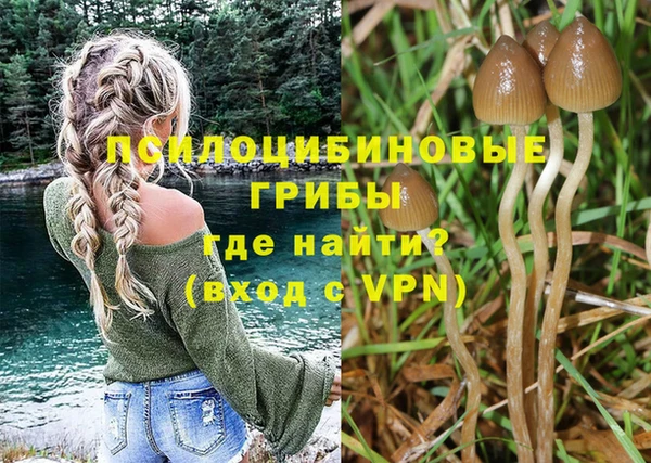 стафф Гусь-Хрустальный