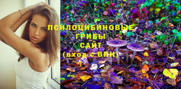 гидра Гусев
