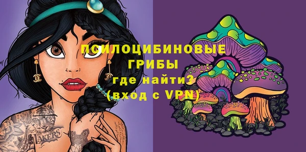 MDMA Premium VHQ Гусиноозёрск