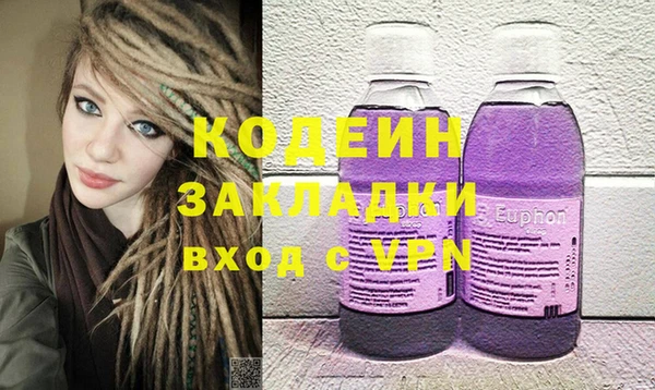 гидра Гусев