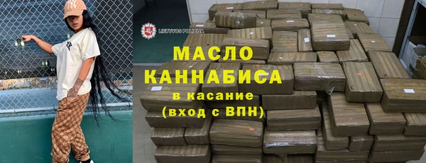 гидра Гусев