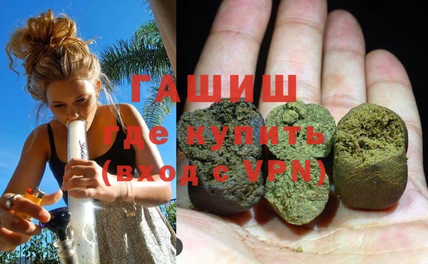 гидра Гусев